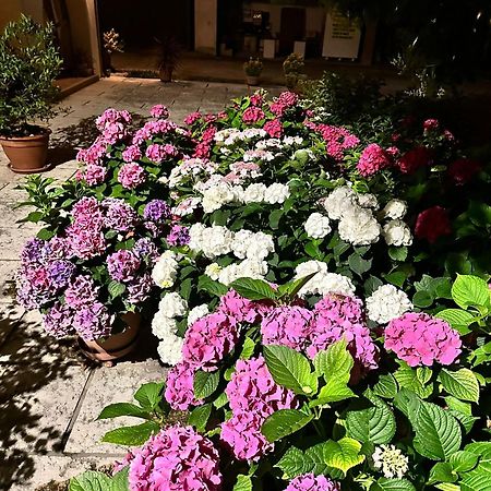 B&B Le Ortensie Castagnole Buitenkant foto