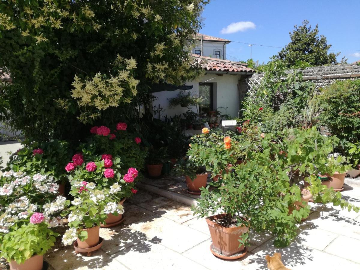 B&B Le Ortensie Castagnole Buitenkant foto