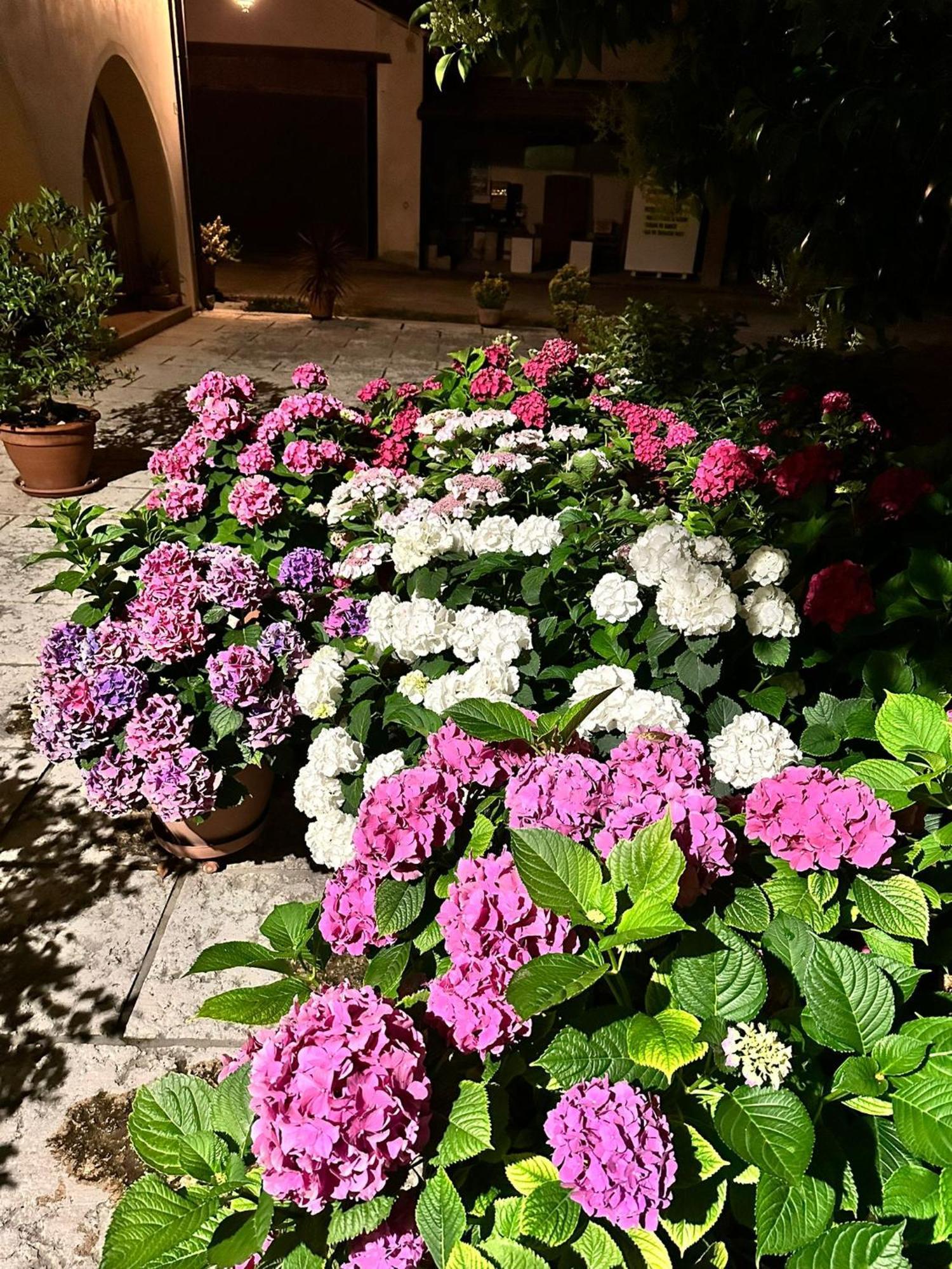 B&B Le Ortensie Castagnole Buitenkant foto